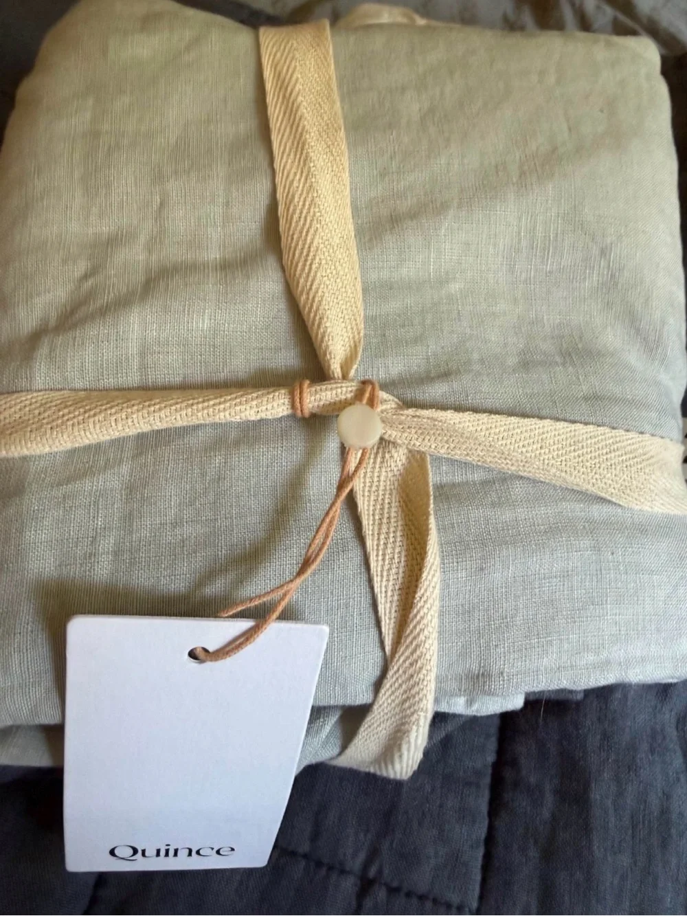 New Quince Mist Euro Linen Pillow Sham - Square